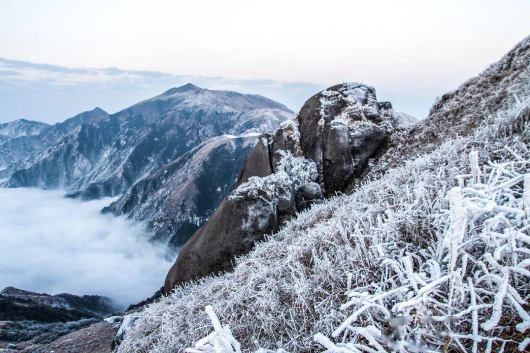 冬天的桂林真的分外热闹前两天赏雾凇观雪景的热情还未散去过几天又有