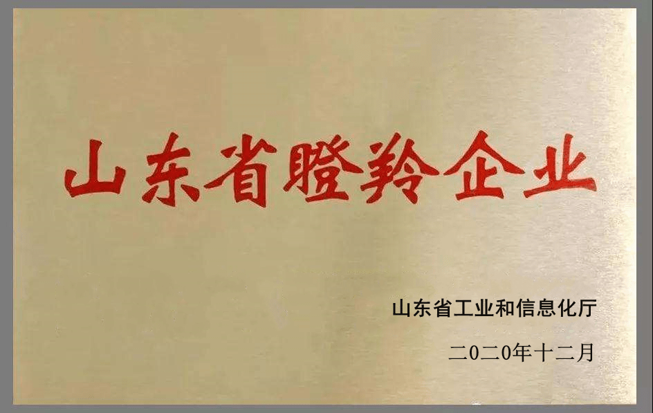 山东翔宇公司获2020年度山东省瞪羚企业荣誉称号