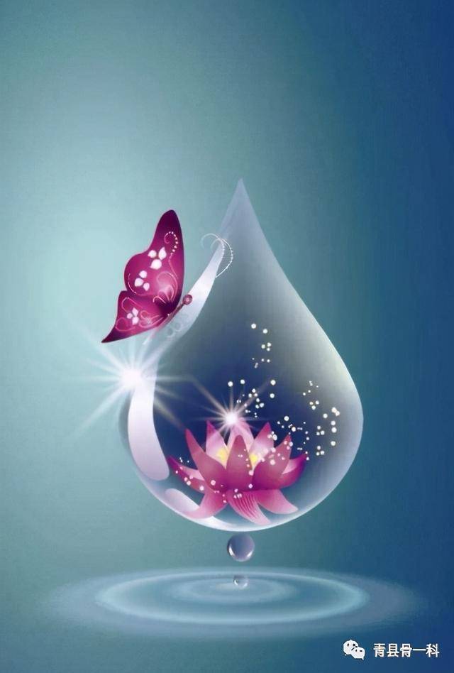 每日心语浮生若梦浮尘如空为欢几何百转千折