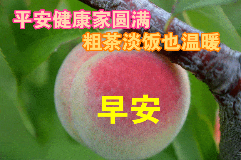 早上好问候美图早安问候语句