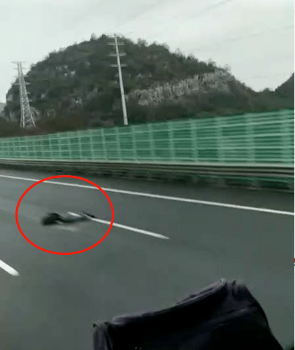 南环路突发车祸大货车疑似撞上买菜行人现场惨不忍睹