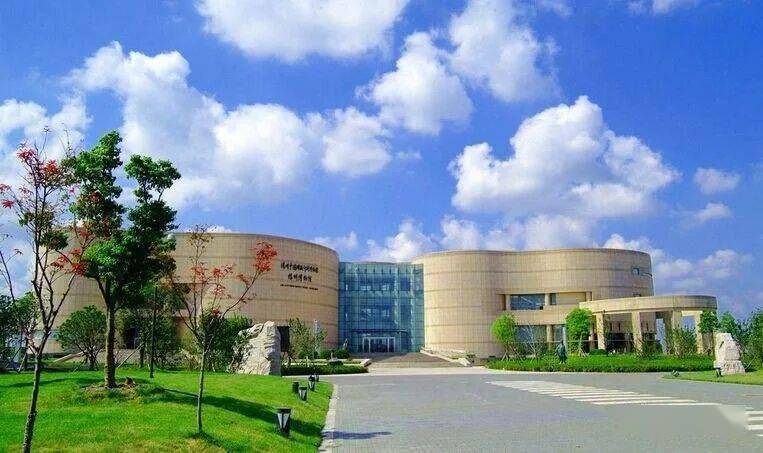 陈维忠 | 扬州双博馆中的高邮元素