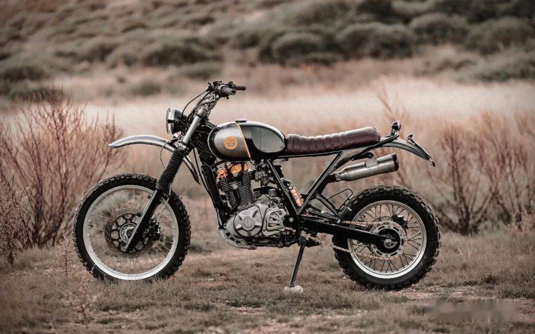 suzuki dr650