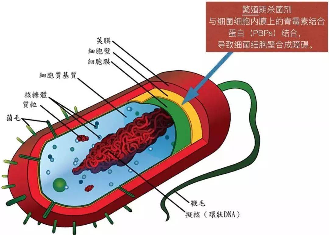 细胞分裂6 黑名单_细胞分裂6 黑名单_细胞分裂6 黑名单