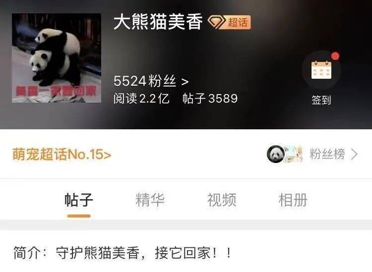 又续签了3年旅美大熊猫美香暂时回不来了