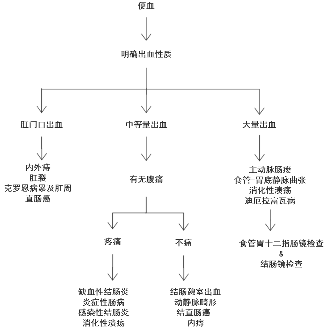 「便血」别只想到痔疮,还可能是这4类疾病!-搜狐大视野-搜狐新闻