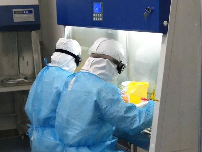 发挥第三方医检优势,呼和浩特迪安当好自治区新冠检测排头兵_核酸