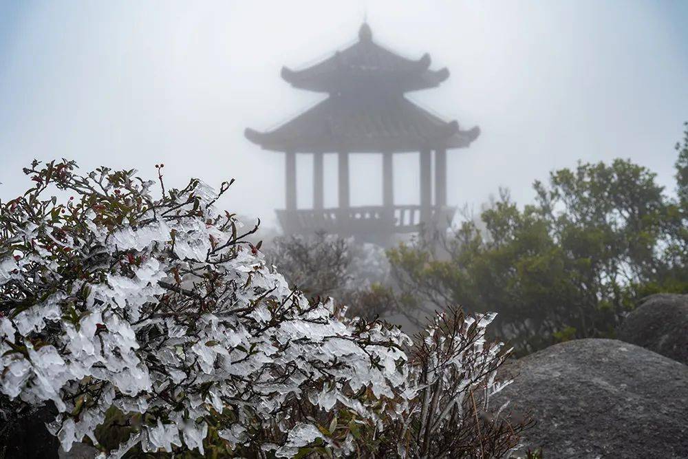 可以约了九仙山第一场雾凇来了