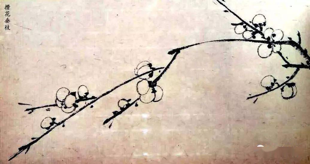 梅花树图片简单画法