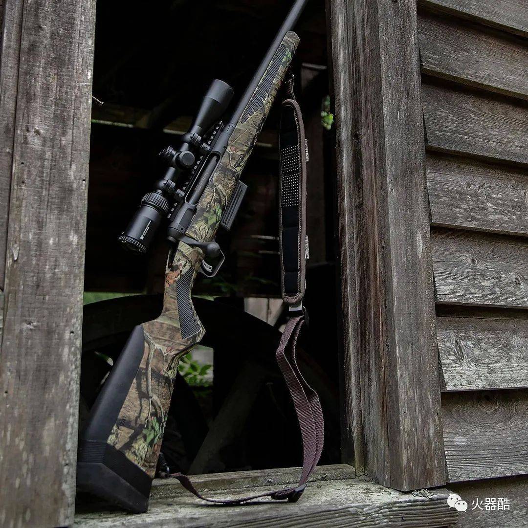难以逃脱的猎物savage家的精准步枪图集