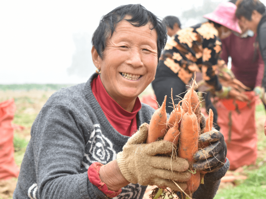 开封通许丰收的笑脸