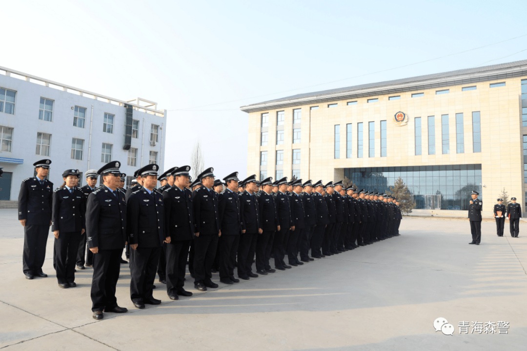 海东市公安局举行森林警察支队转隶揭牌仪式