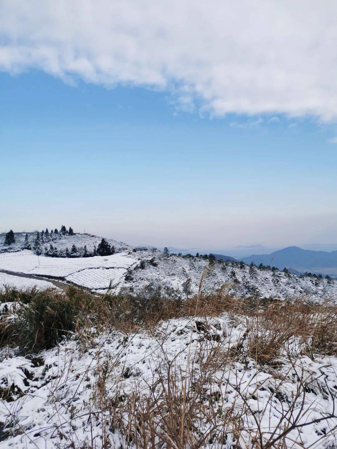 云浮大金山下雪图片