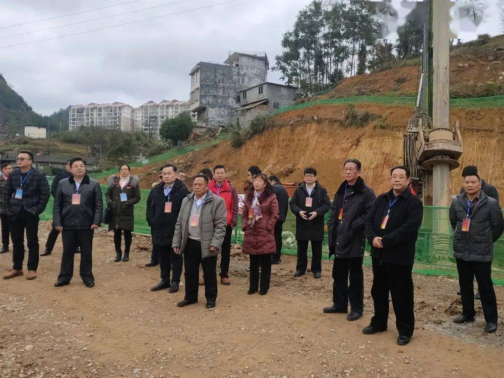 县人大常委会主任覃建军,县人大常委会副主任兰凤林,李文丹等县领导