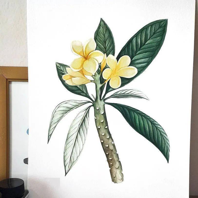 他山之石·艺‖ 超级好看的单色调水彩画,很暖心,怎么都看不腻!