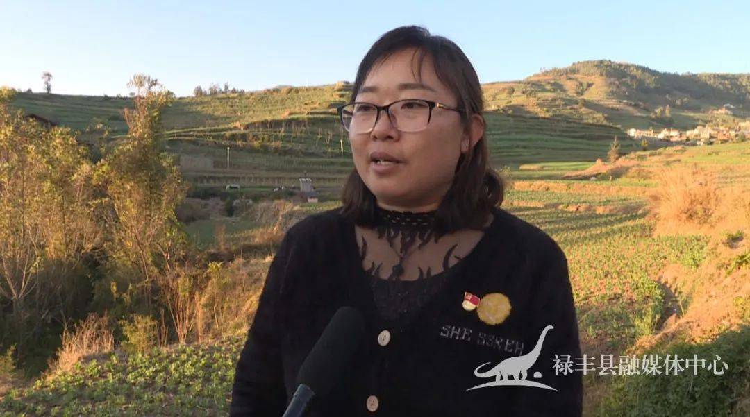决战决胜脱贫攻坚一平浪镇金豆子稳产增收群众致富路子稳