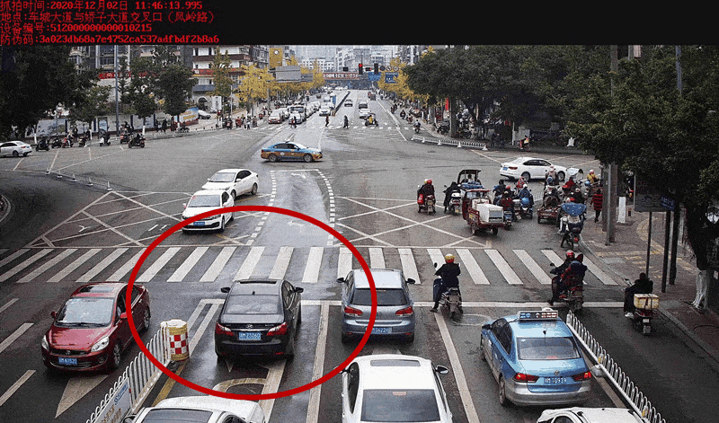 曝光台闯红灯资阳这些车子罚200元记6分有你吗