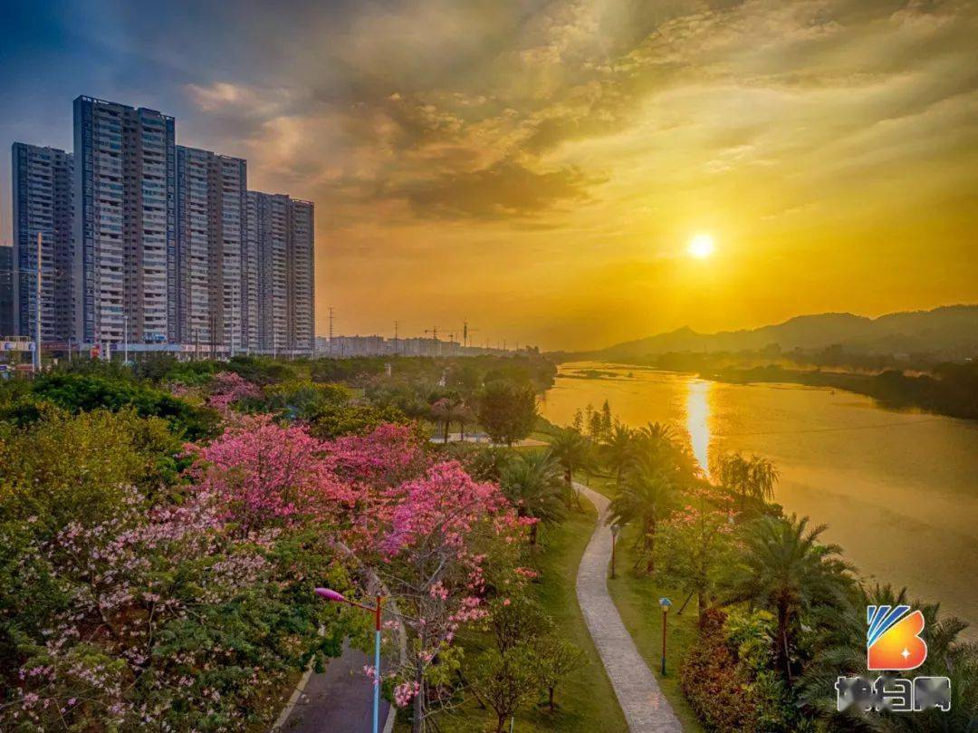 博白这位房地产老板请500多业主吃大餐!羡慕吗?