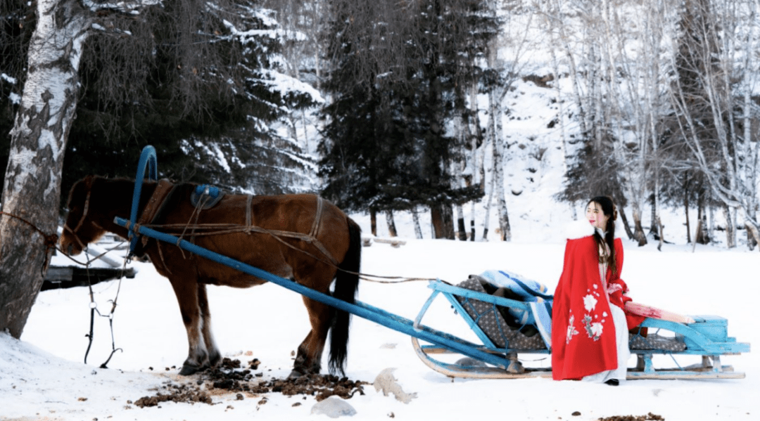 出門乘坐馬拉爬犁在蒼茫的雪原行駛小巷中傳來幾聲鄰家孩子的打鬧聲這