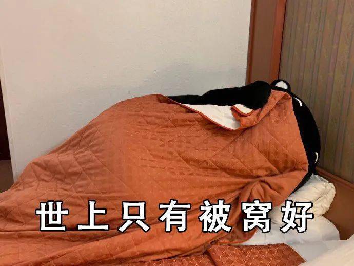 世上只有被窝好被窝里的我像块宝