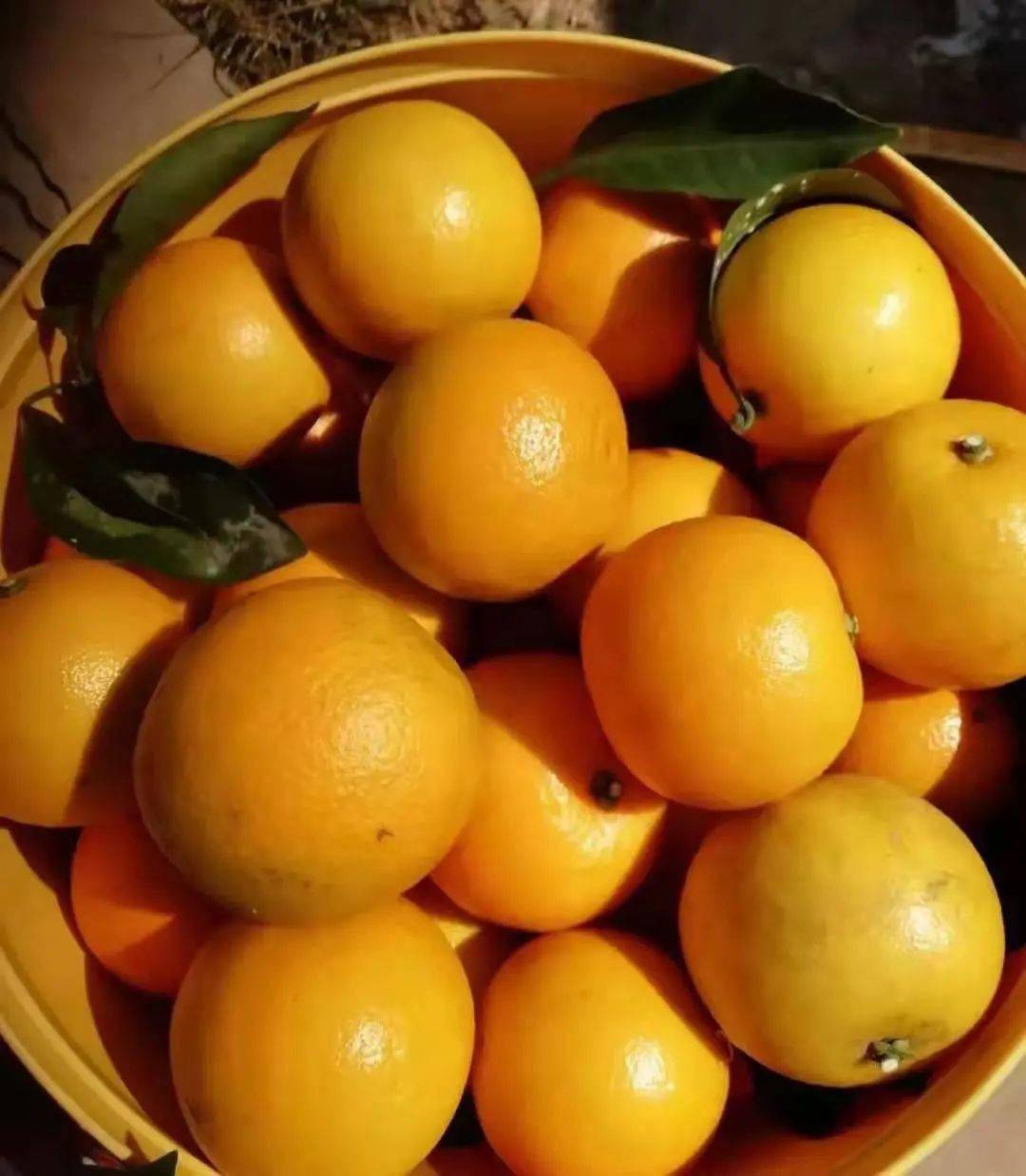 爱心助农钟老伯红光橙急销皮薄多汁酸甜可口值得一试