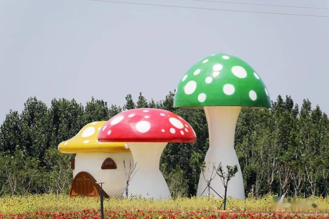鹏鹄蘑菇小镇图片