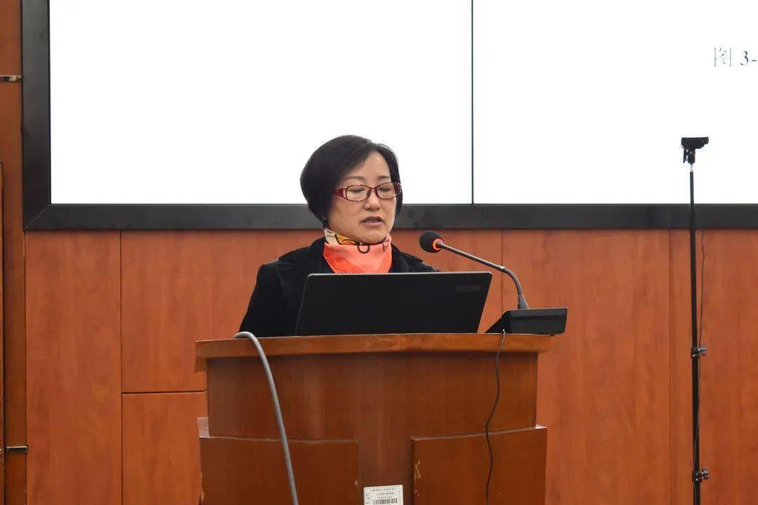 随后,masato abe专家,mikel tejada-ibanez专家,丁煌教授和周亚虹教授