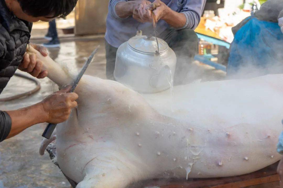 视频实拍云南宣威杀猪饭一年又一年必甩的那顿饭