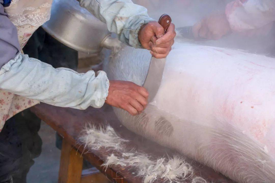 云南宣威杀猪饭,一年又一年必甩的那顿饭_宰猪