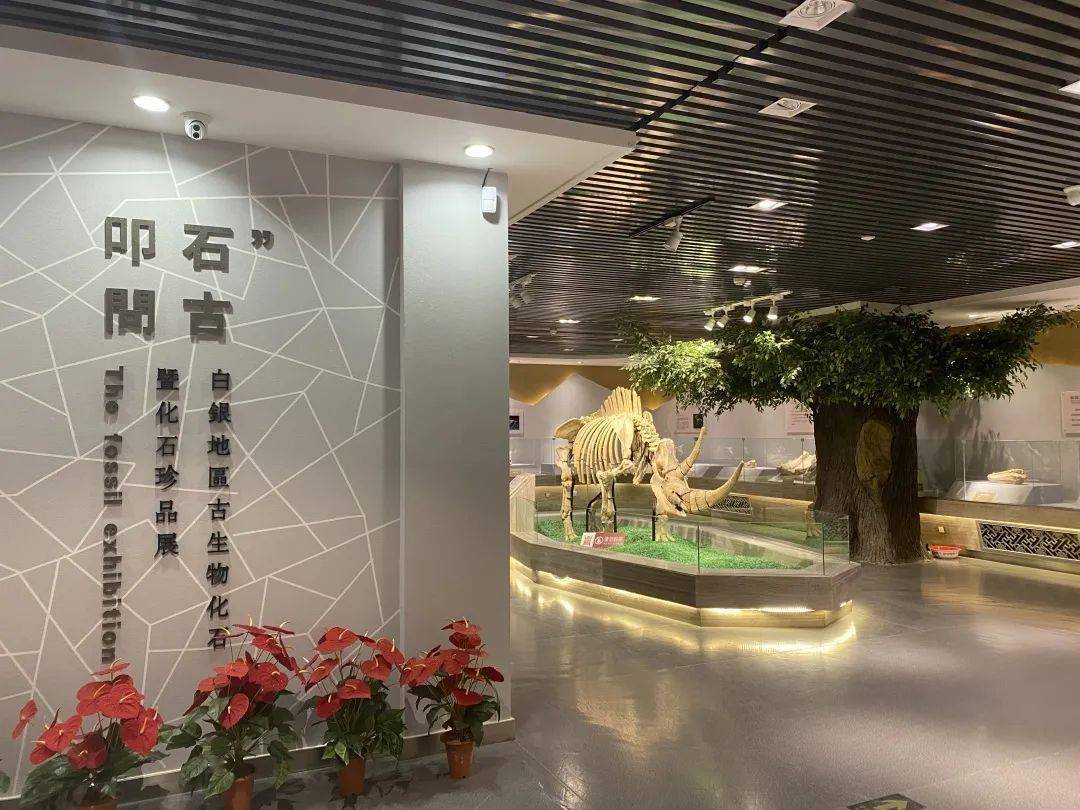 【喜报】白银市博物馆被定级为国家二级博物馆!_手机搜狐网