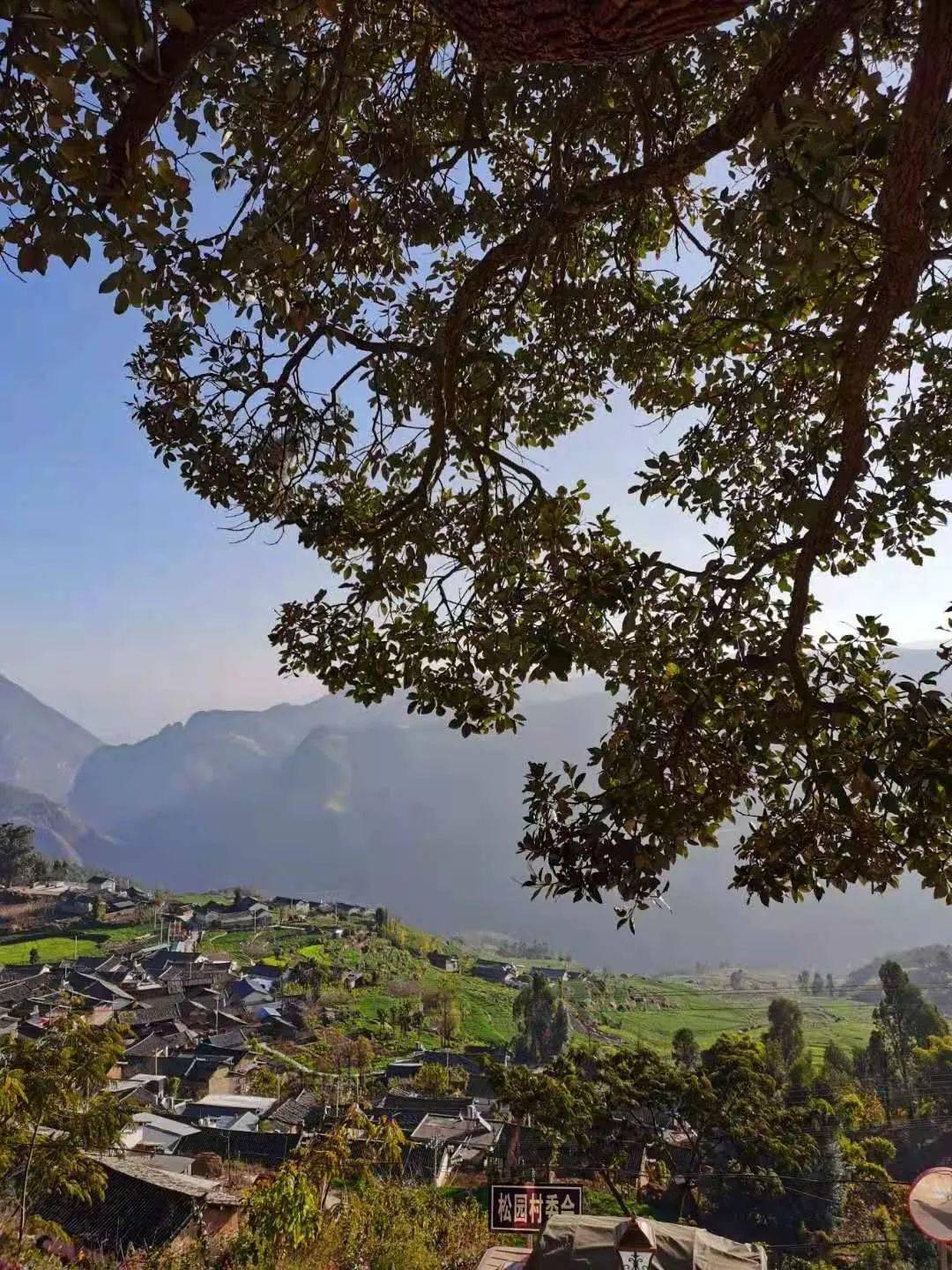 美丽乡村鹤庆松园村