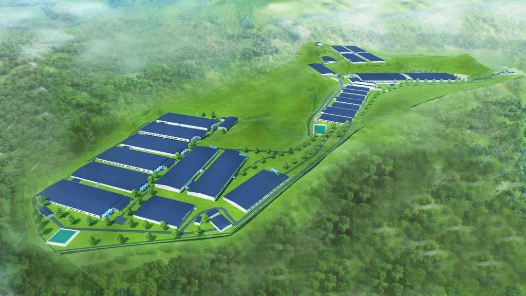 江西万丰养殖有限公司年出栏10万头生猪改扩建项目开工