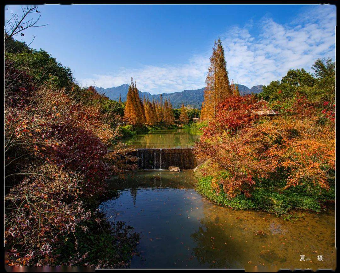 摄影采风12月26日清远红枫一天摄影采风创作