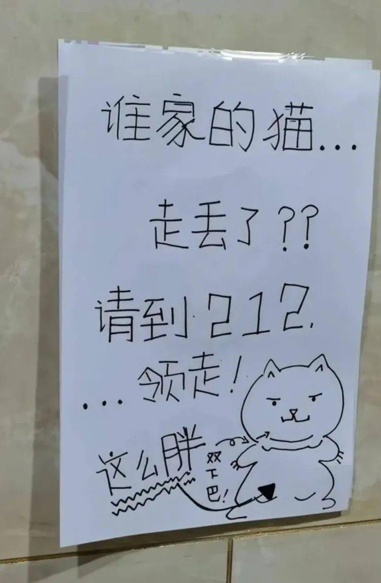 "谁家的猫丢了,长这样…"