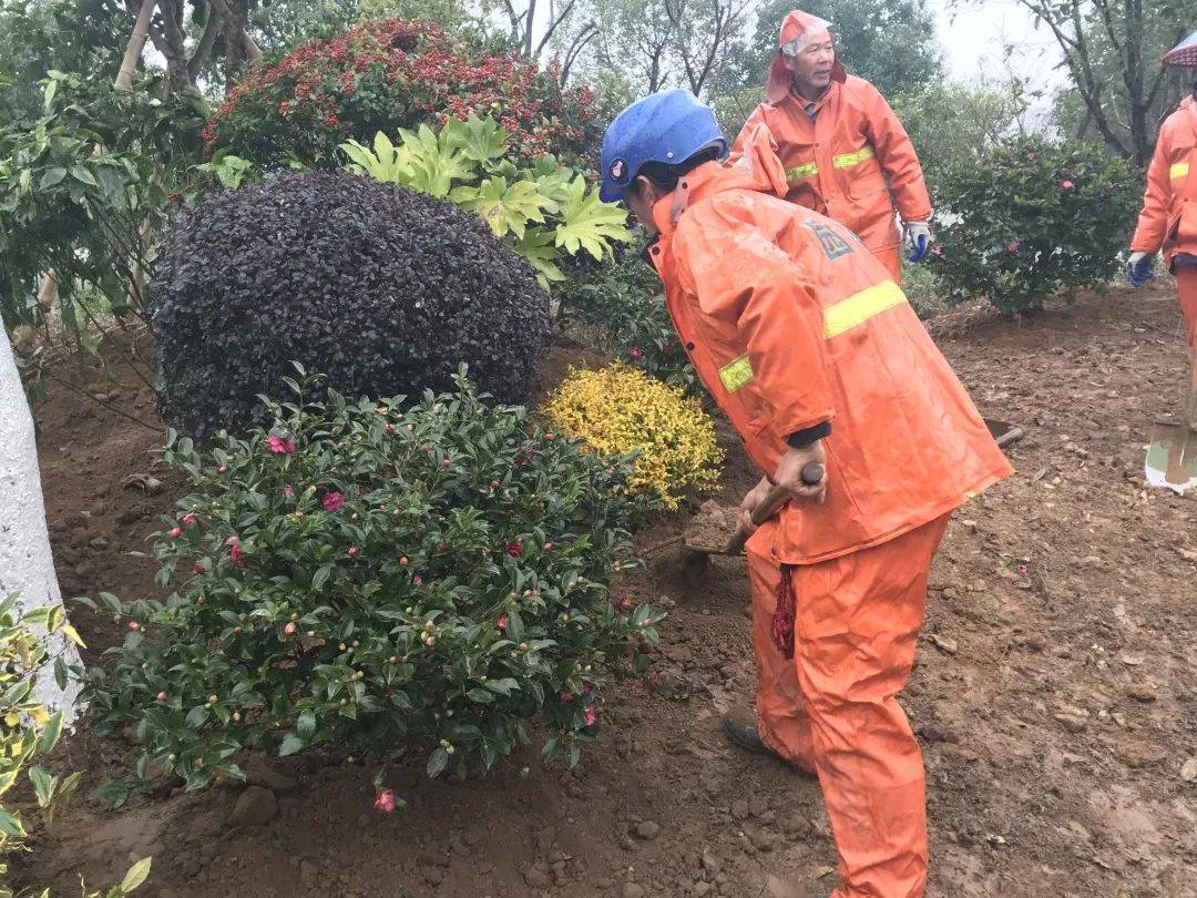 东阳亲子公园新增一个特色观景点快来看看