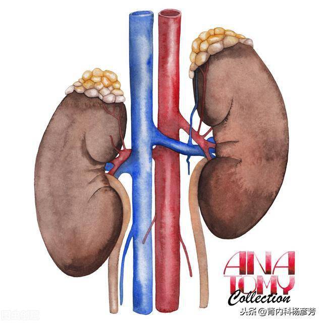 尿蛋白下降之后,肾友还需坚持做这4件事,否则极易前功尽弃