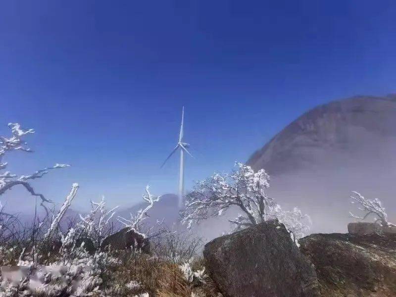 阳光下的冰雪世界桂林恭城燕子山雾凇夺目