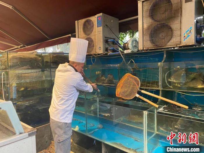 长江流域渔民退捕“上岸”实现扩产新致富