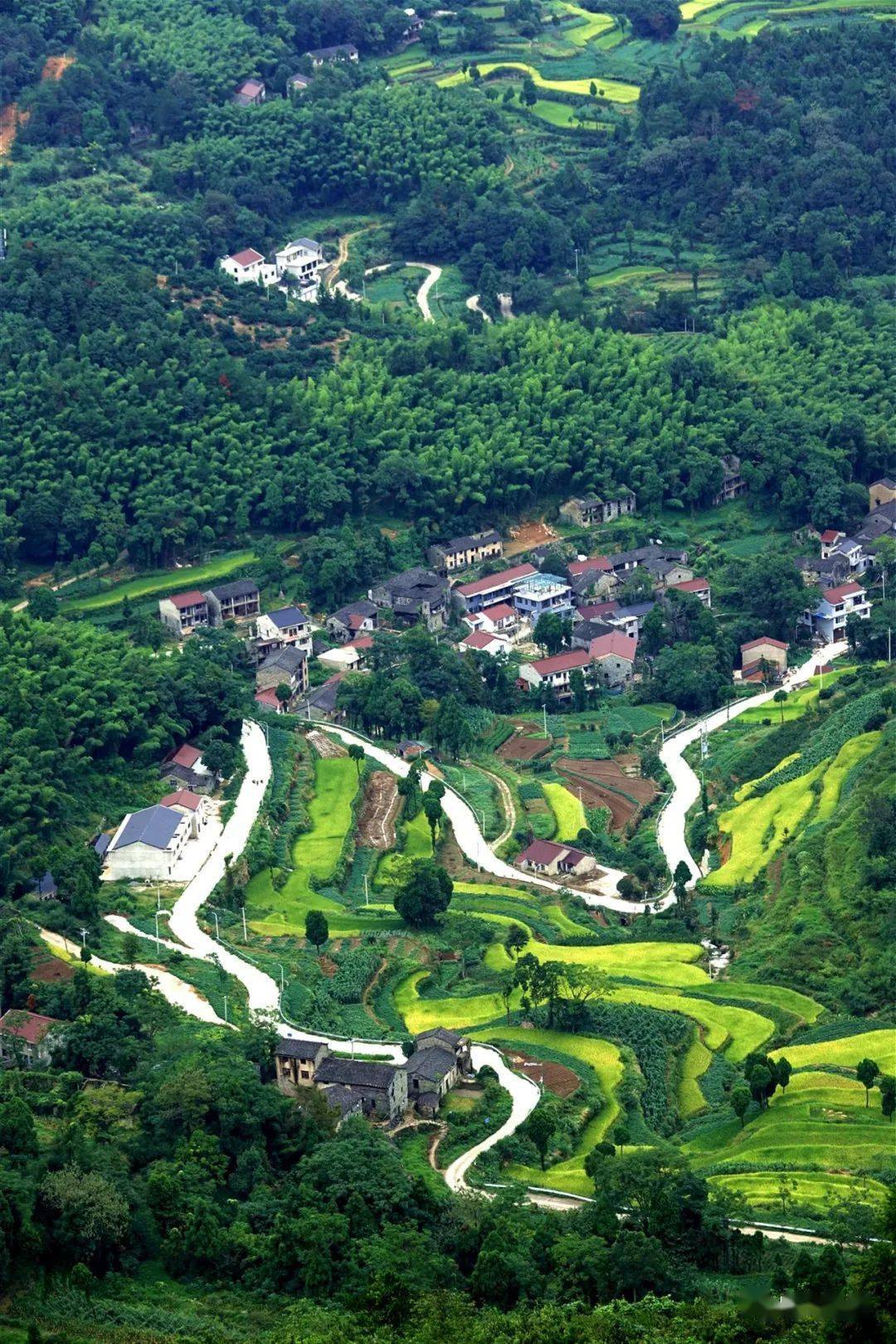 临海市河头镇,省级样板!