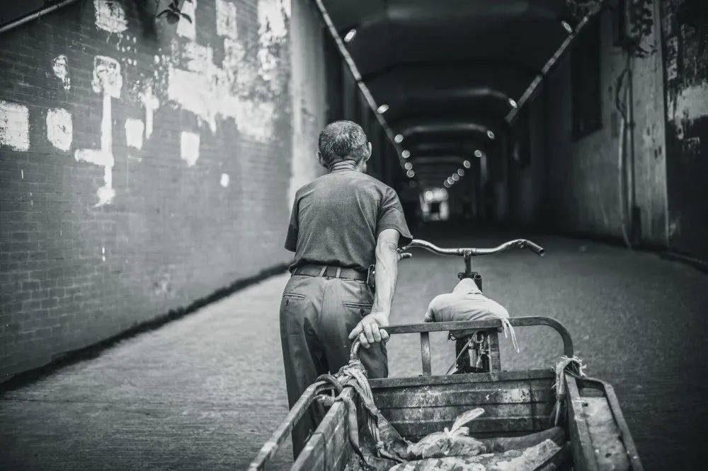 《路人》《集市》《童趣》《玩伴》《人间非净土,各有各的苦》《困》