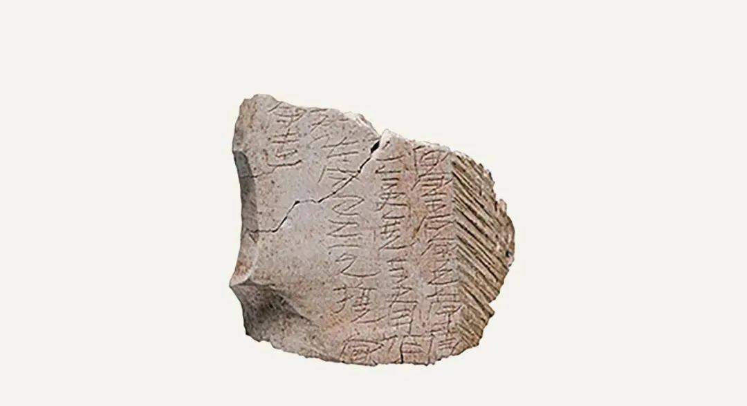 官守令石守丞常待 □