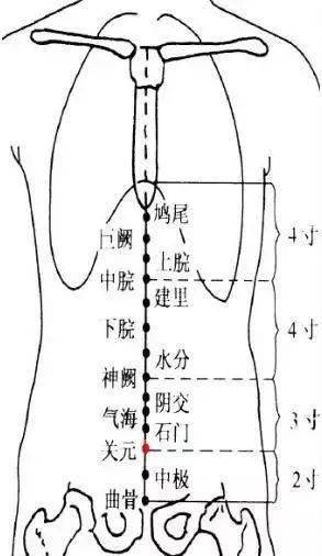 下三寸,這個三寸是指同身寸,是指從肚臍(就是神闕穴)到曲骨穴等分五份