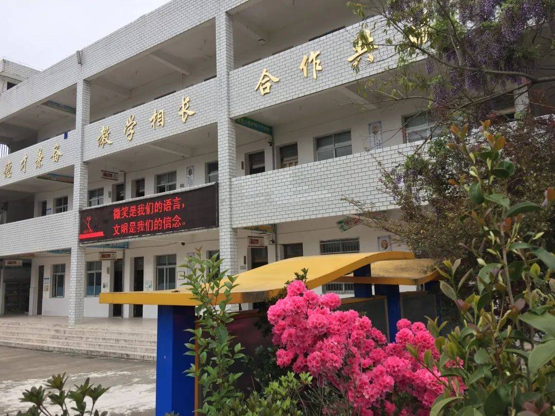 泰順縣泗溪鎮九峰中心小學校園新十景