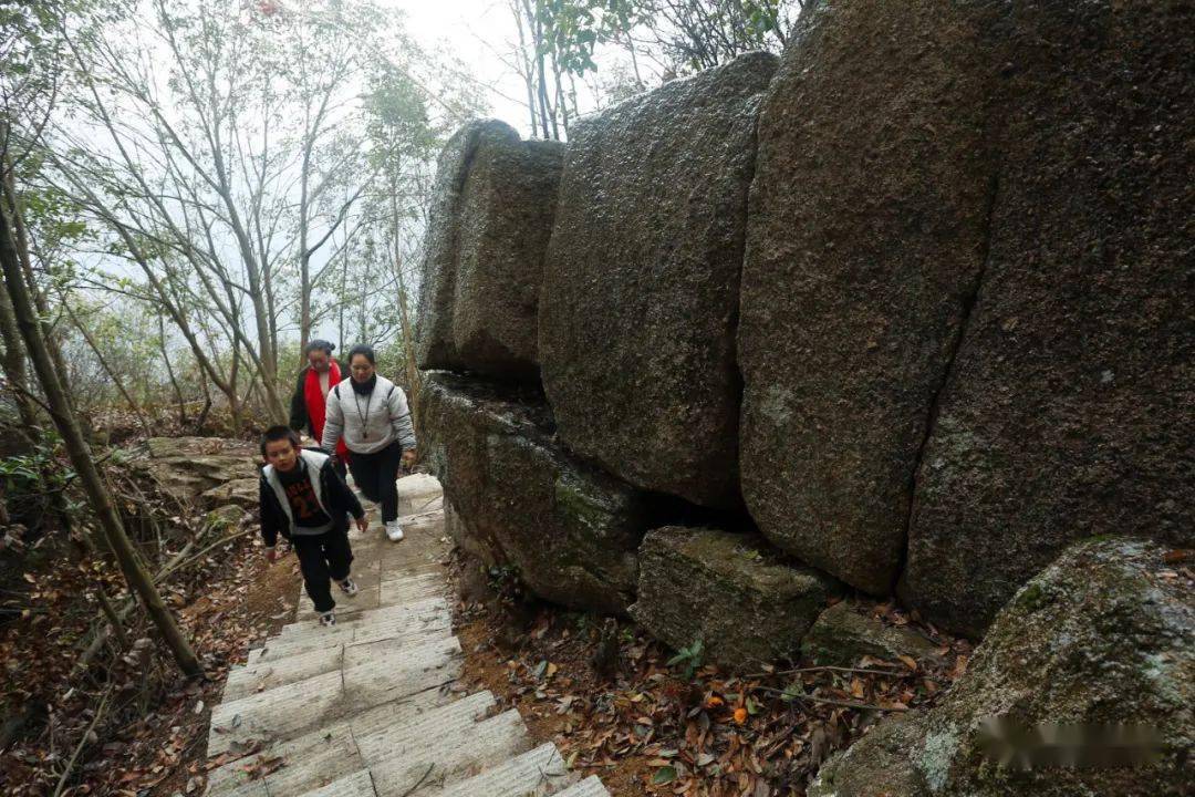 又一個好美的遊玩地南康坪市蓮花山的登山石階梯修好了可直達山頂