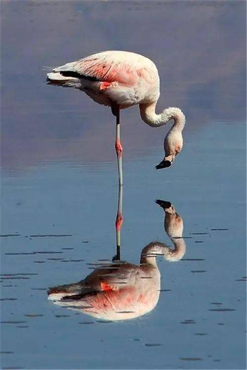 瞬间的永恒这么美