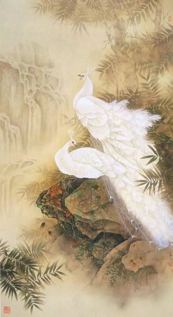 蕉林丽影精美孔雀动物工笔