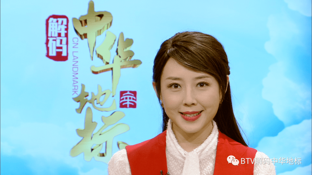 北京广播电视台主持人青青四川省知识产权服务促进中心主任,首批全国