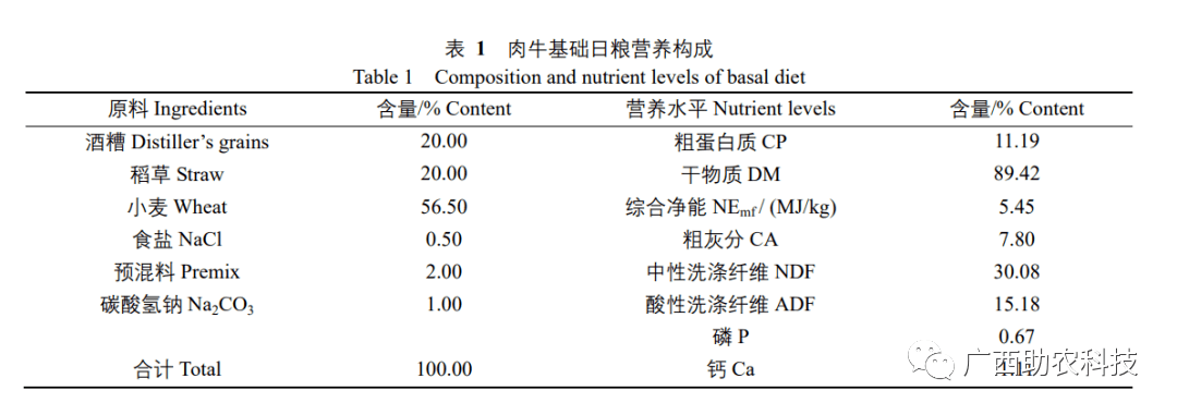 肉牛生长规律表图片