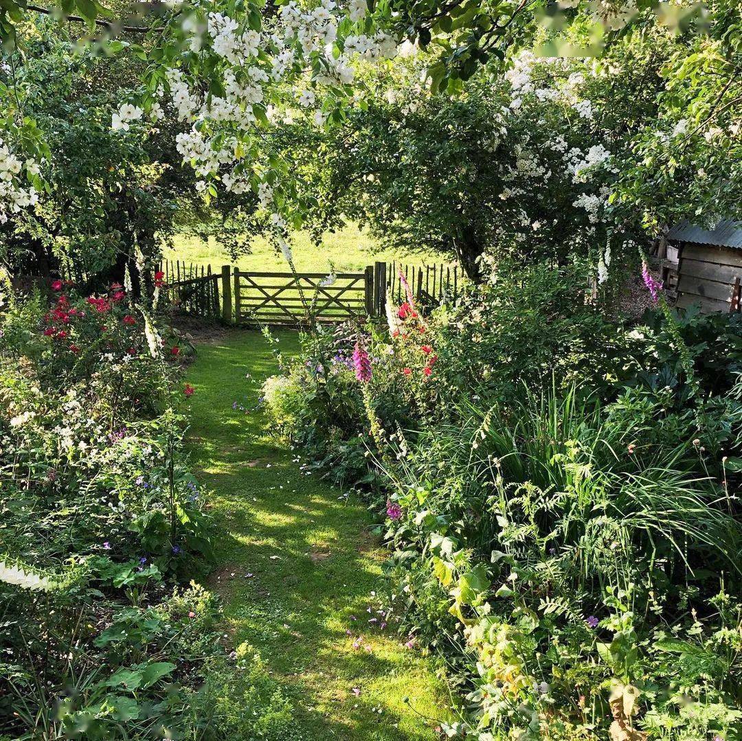 让日子如沐欢愉只差一座montydon的治愈系花园