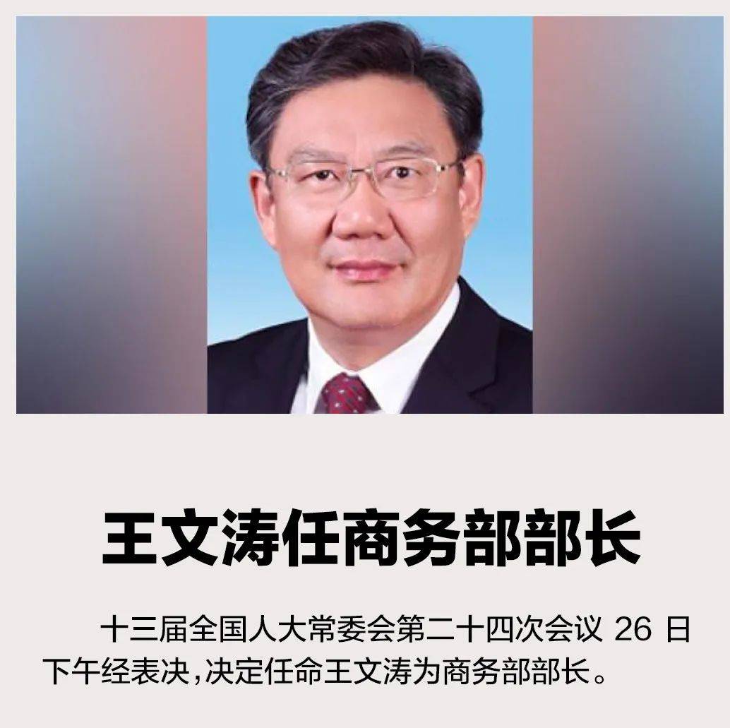 王文涛任商务部部长